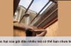 Tác hại của gội đầu nhiều mà có thể bạn chưa biết