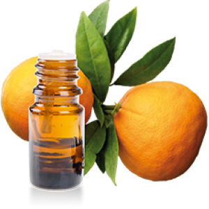 Tinh dầu Cam Ngọt