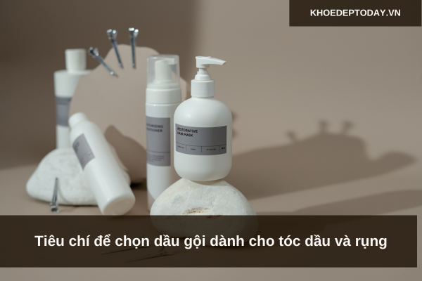 Tiêu chí để chọn dầu gội dành cho tóc dầu và rụng