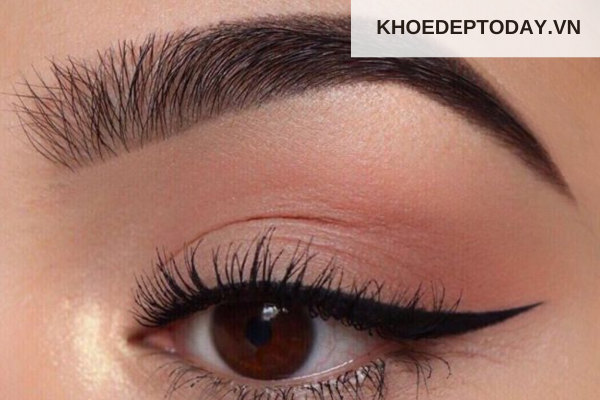 Chu kỳ mọc của lông mày