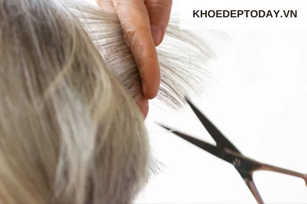Các bước cắt tóc giả
