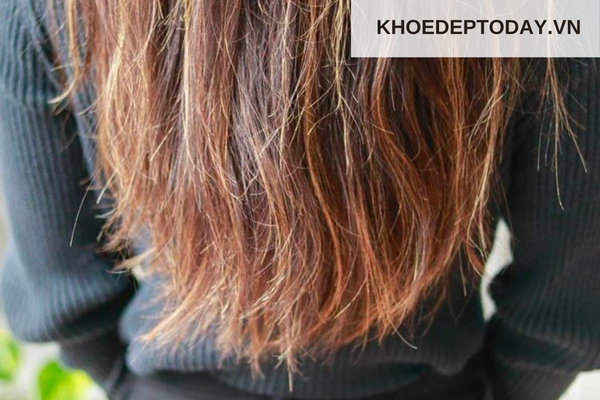 Tóc bị mất nước do nắng nóng